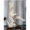 Image 3 : Eagle