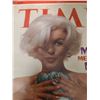 Image 2 : Monroe meets Mailer Cat A