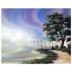 Transition by Shotwell Original