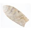 Image 3 : Paleo Fluted Clovis Point 15,000 - 10,000 B.P.