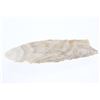 Image 8 : Paleo Fluted Clovis Point 15,000 - 10,000 B.P.