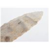 Image 9 : Paleo Fluted Clovis Point 15,000 - 10,000 B.P.
