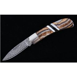 Woolly Mammoth Tooth, Onyx & MOP VG-10 Knife