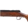 Image 17 : Sears & Roebuck 12 Gauge Bolt Action Shotgun