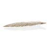 Image 8 : Cumberland Fluted Point 11,000 - 9,000 B.P.