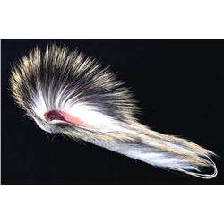 Montana Crow Porcupine Hair Roach Early 1900