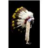 Image 2 : Crow Beaded Feather Headdress w/ Feather Trailer