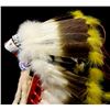 Image 3 : Crow Beaded Feather Headdress w/ Feather Trailer
