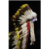 Image 8 : Crow Beaded Feather Headdress w/ Feather Trailer