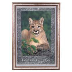 Eye Of The Cougar By Denver Bryan Framed Photo