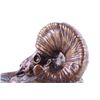 Image 16 : C.A. Beil "Banff Bighorn" Bronze Sculpture