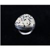 Image 1 : Navajo Charlie Chee Bowie Dalmatian Stone Ring
