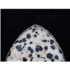 Image 3 : Navajo Charlie Chee Bowie Dalmatian Stone Ring