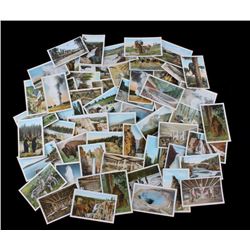 100 Yellowstone National Park Post Cards by Haynes