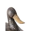Image 13 : American Black Duck Decoy Pair C. Mid 1900's