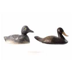 American Black Duck Decoy Pair C. Mid 1900's