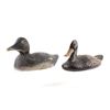 Image 2 : American Black Duck Decoy Pair C. Mid 1900's