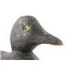 Image 7 : American Black Duck Decoy Pair C. Mid 1900's