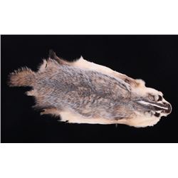 Montana Taxidermy American Badger Hide