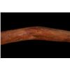 Image 9 : Plains Indians Fire Hardened Digging Stick