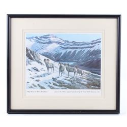 Big Horns In Their Mountains Great Falls Select