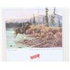 Image 2 : Moose & The Lake Great Falls Select Framed Print