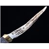 Image 16 : Pair of Deer Antler Handle Fillet Knives