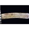 Image 7 : Jean Case Cut Co Antler Handle Clip Point Knife