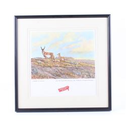 Great Falls Select Antelope Framed Print