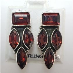 Silver Garnet Earrings, Suggested Retail Value $250 (Estimated Selling Price from $36 to $72)