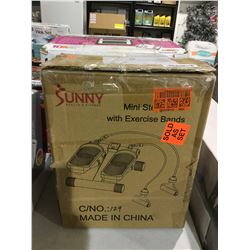 Sunny Mini Stepper with Exercise Bands