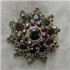 Image 1 : Bohemian garnet pin set with sixty one 