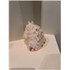 Image 5 : Seashells A