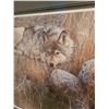 Image 2 : Gray Wolf A
