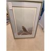 Image 1 : Dark Gyrfalcon A