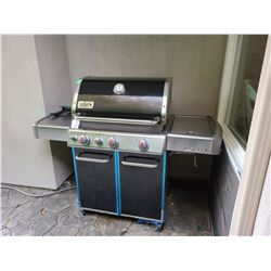 Weber BBQ Cat C