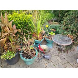 Outdoor Decor Cat C