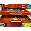 Image 5 : Metal Tool Chest Beach  & File Cabinet Cat C