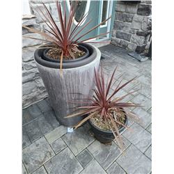 Large outdoor Container Cat A