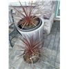 Image 2 : Large outdoor Container Cat A
