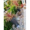Image 1 : Planter Pots Cat C