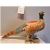 Image 4 : Pheasants A