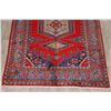 Image 5 : A WOOL HAND KNOTTED VISS ORIENTAL AREA RUG.