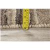 Image 9 : A WOOL HAND KNOTTED GABBEH ORIENTAL AREA RUG.