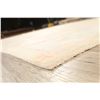 Image 11 : A WOOL HAND KNOTTED OUSHAK ORIENTAL AREA RUG.