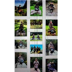 Your Choice of Wild Pig or Turkey hunt in California