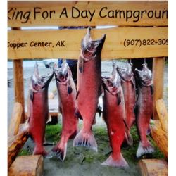 Alaskan Salmon Fishing Trip