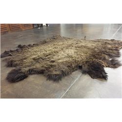 Large Buffalo Hide Robe or Rug