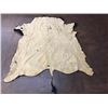 Image 8 : Large Buffalo Hide Robe or Rug