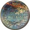 Image 2 : 1877 1C Cameo PR65 Red and Brown NGC. Electric blue do 